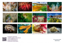 Unterwasser-FR_14 Unterwasser-FR_14