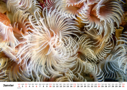 Unterwasser-FR_2 Unterwasser-FR_2