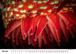 Unterwasser-FR_3 Unterwasser-FR_3