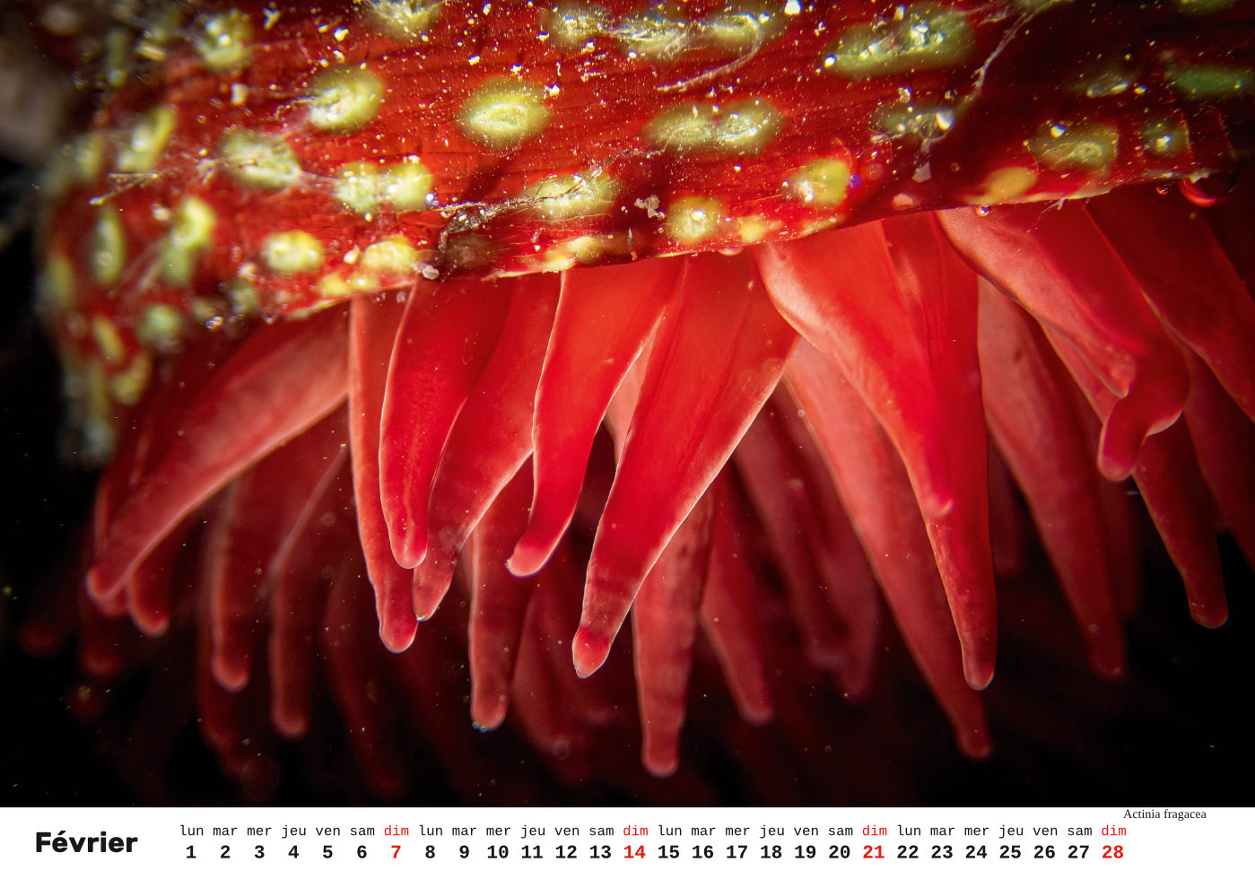 Unterwasser-FR_3 Unterwasser-FR_3