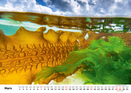 Unterwasser-FR_4 Unterwasser-FR_4