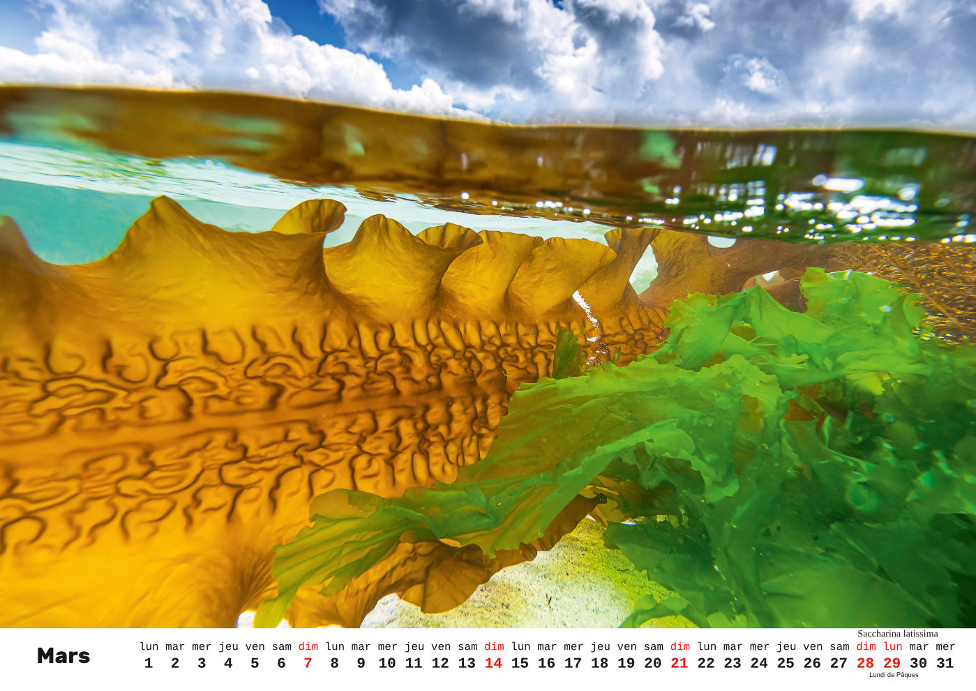 Unterwasser-FR_4 Unterwasser-FR_4