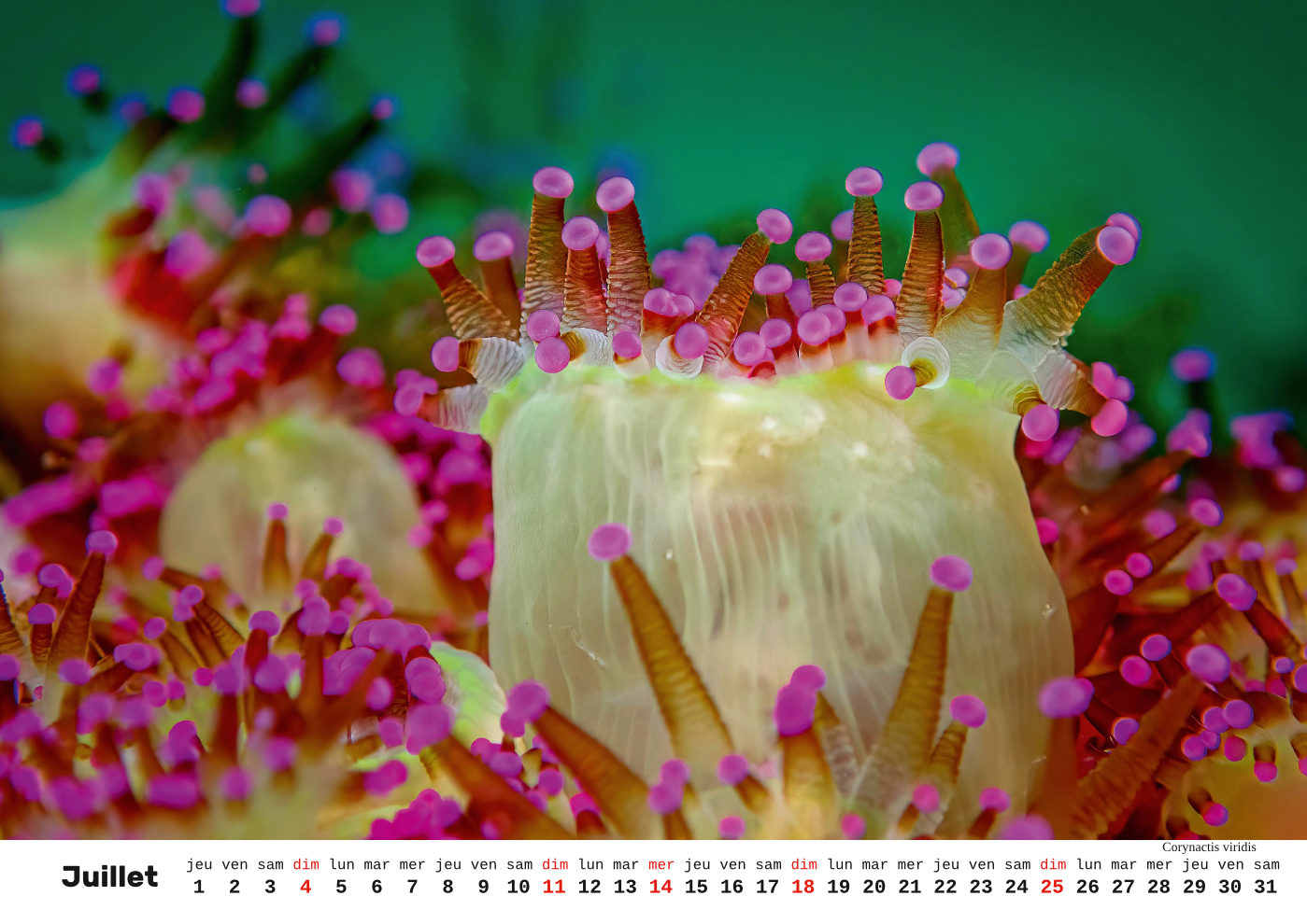 Unterwasser-FR_8 Unterwasser-FR_8