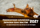 Kalender 2027 - Seehase, Unterwasser-Foto