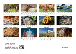 Unterwasser Kalender Rückblatt Unterwasser Kalender Rückblatt