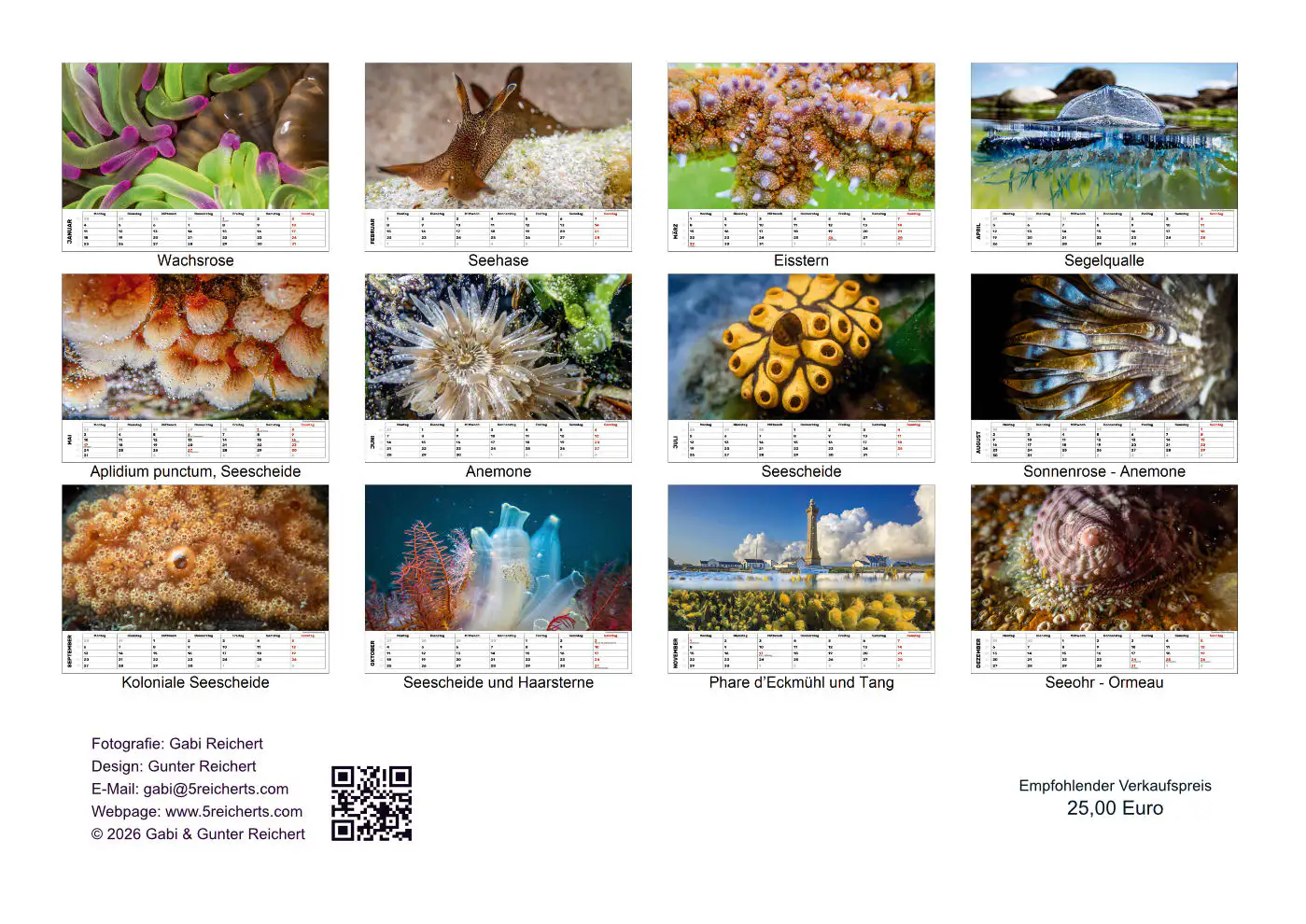 Unterwasser Kalender Rückblatt Unterwasser Kalender Rückblatt