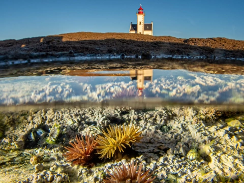 Phare du Pointe des Chats, Ile de Groix