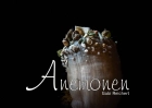 Anemonen - Bildband