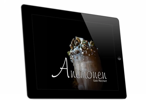 Anemonen Ebook