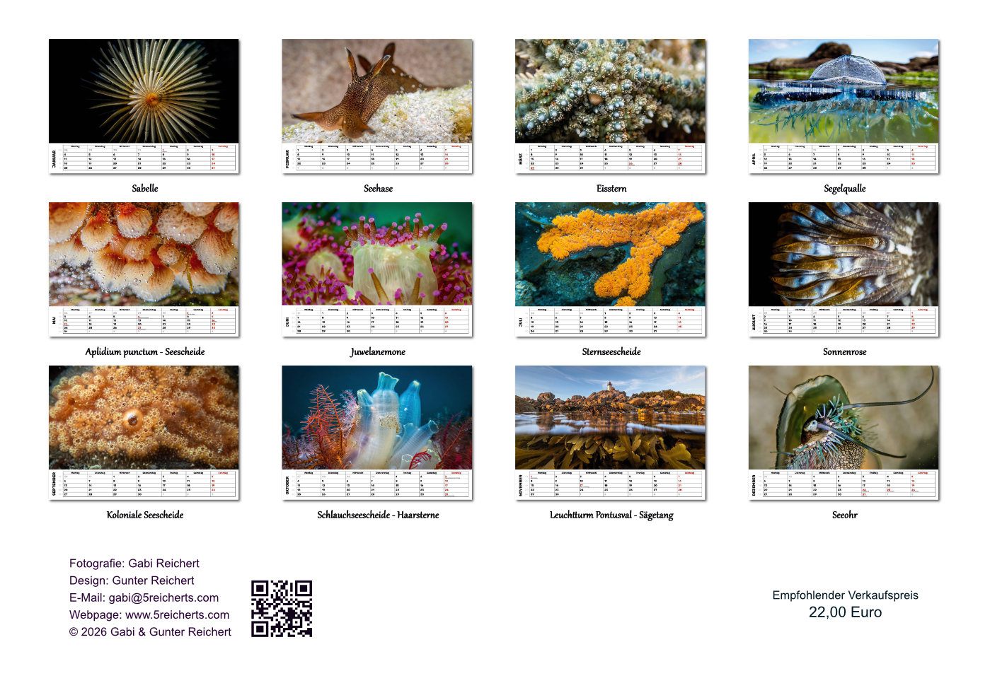 Kalender-27-Rueckblatt