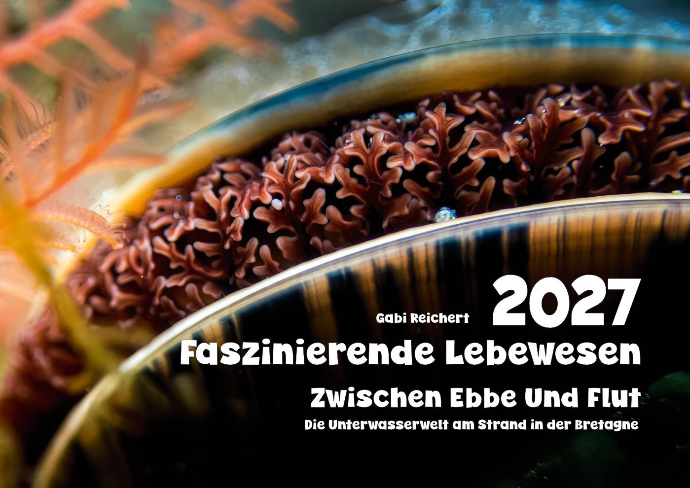 Unterwasser Kalender 2027